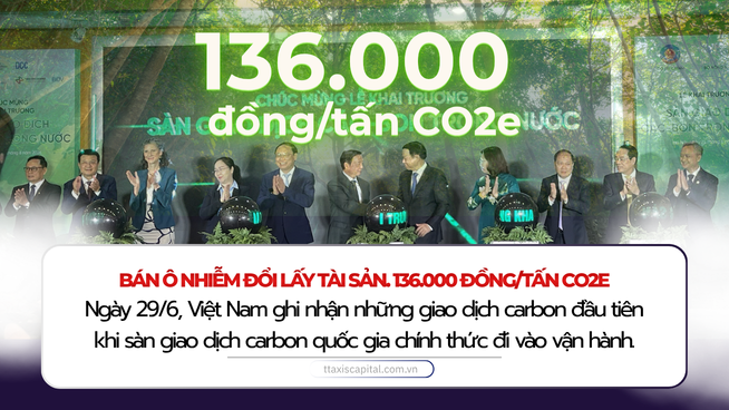 sàn carbon